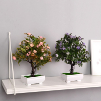 Бонсай в горшке "Деревце очарованье" 10х22 см, микс Бонсай в горшке "Деревце очарованье" 10х22 см, микс