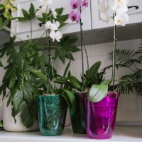 Горшок для орхидей, 2,5 л, 16,4 &times; 18,5 см, пластик, прозрачно-малиновый