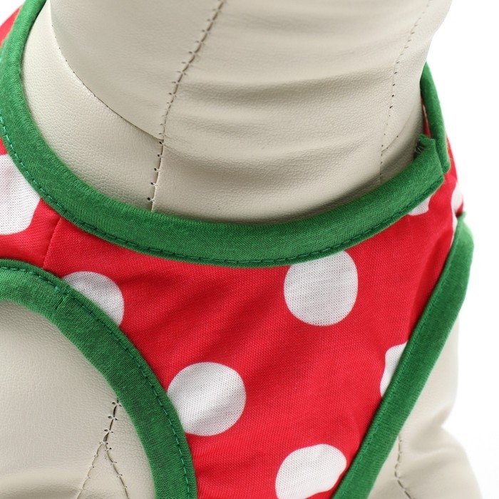 Костюм для животных Костюм для животных "Фея", размер XS (ДС 22, ОГ 32, ОШ 21 см), красно-белый