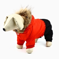 Одежда для собак. Комбинезон зимний &laquo;Тёплая зима&raquo;, красно-чёрный, размер M