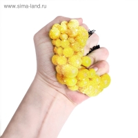 Набор для опытов &laquo;Мялка в сетке&raquo;, с блёстками