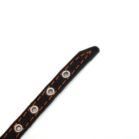 Ошейник кожаный однослойный с рифлеными люверсами, 35х1,2 см, ОШ 10-28 см, безразмерный, микс цветов