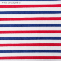 Комплект постельного белья АДЕЛЬ Kids Кассиопея 107х140, 107х140, 40х60см, поплин 110г/м, хл100%