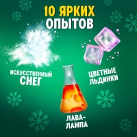 Набор для опытов «Новогодняя лаборатория», 10 опытов, 16 предметов Набор для опытов «Новогодняя лаборатория», 10 опытов, 16 предметов