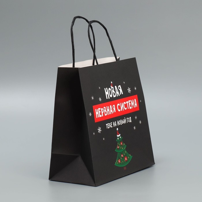 Пакет подарочный новогодний крафтовый «Нервы», 22 х 22 х 11 см, Новый год Пакет подарочный новогодний крафтовый «Нервы», 22 х 22 х 11 см, Новый год