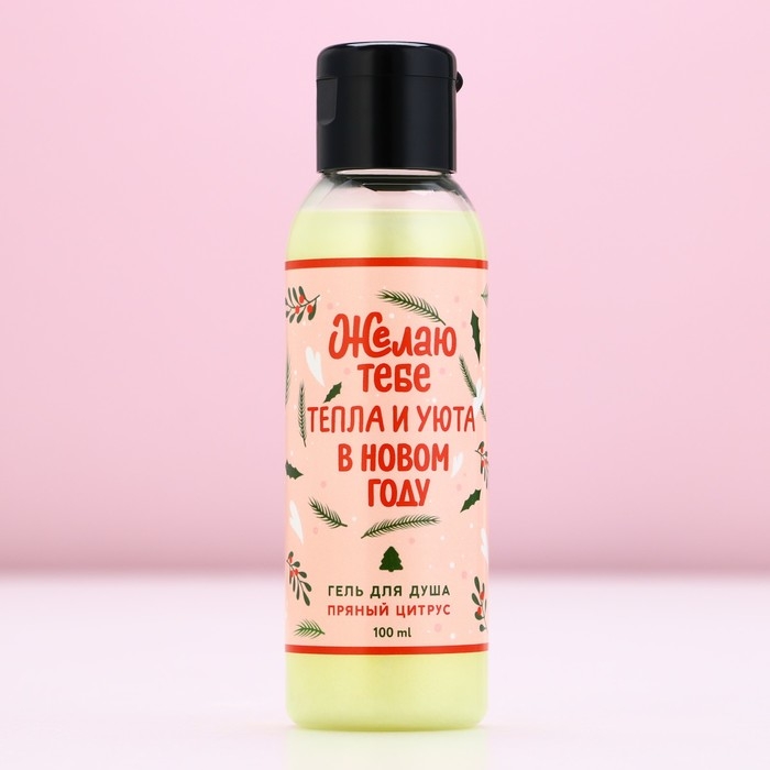 Гель для душа «Тепла и уюта в Новом Году!», 100 мл, аромат пряного цитруса, ЧИСТОЕ СЧАСТЬЕ Гель для душа «Тепла и уюта в Новом Году!», 100 мл, аромат пряного цитруса, ЧИСТОЕ СЧАСТЬЕ
