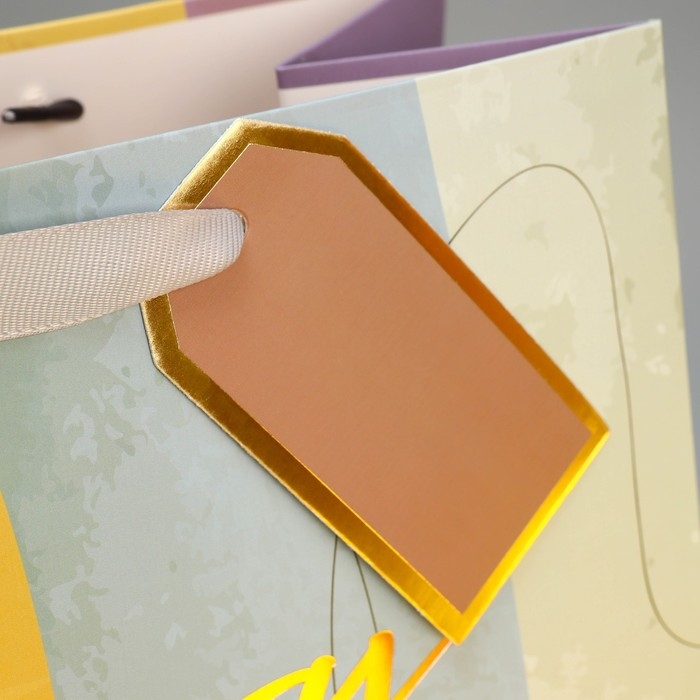 Пакет подарочный ламинированный, упаковка, &laquo;Лови момент&raquo;, 25.4 х 30.5 х 12.7 см