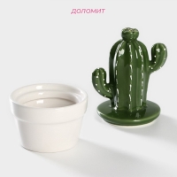 Банка для хранения сыпучих продуктов Доляна &laquo;Кактус&raquo;, 160 мл, 8&times;8&times;14 см, керамическая