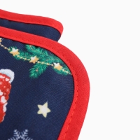 Набор кухонный Доляна "Теплых объятий": прихватка 17х17 см, варежка-прихватка 20х28 см, 35% хлопок