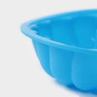 Форма для выпечки Доляна &laquo;Немецкий кекс. Заварное печенье&raquo;, силикон, d=13 см, цвет синий