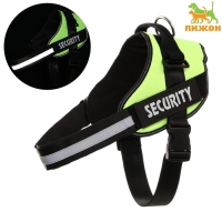 Шлейка К9 мягкая светоотражающая, размер ХХL, ОГ 95-110 см, вес 40-70 кг, салатовая Шлейка К9 мягкая светоотражающая, размер ХХL, ОГ 95-110 см, вес 40-70 кг, салатовая