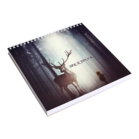 Скетчбук 190 х 190 мм, 60 листов на гребне "В объятии природы", обложка мелованный картон, твёрдая подложка, блок 100 г/м² Скетчбук 190 х 190 мм, 60 листов на гребне "В объятии природы", обложка мелованный картон, твёрдая подложка, блок 100 г/м²