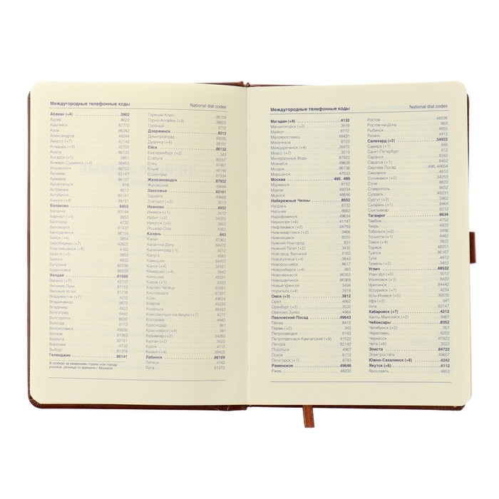 Ежедневник недатированный А5, 116 листов в клетку, с хлястиком, обложка кожзам, МИКС