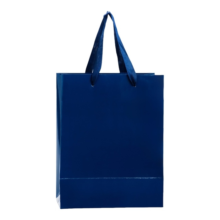Пакет ламинированный &laquo;Синий&raquo;, 18 х 23 х 10 см