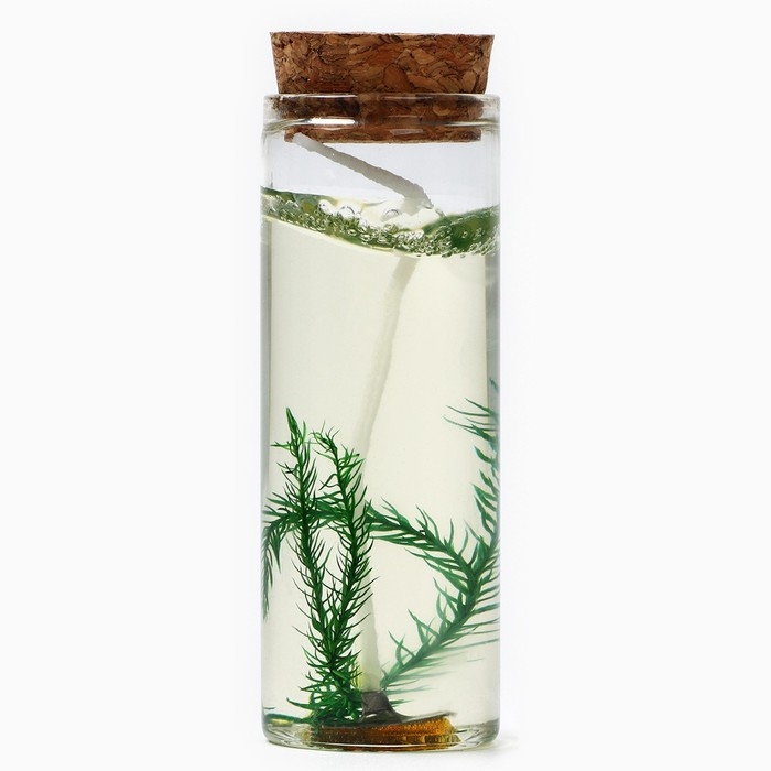 Новогодняя свеча интерьерная в колбе «Новый год: Еловая ветка» 3х3х8см Новогодняя свеча интерьерная в колбе «Новый год: Еловая ветка» 3х3х8см