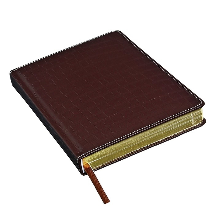 Ежедневник датированный 2024 A5 176 листов, deVENTE.Wild, твёрдая обложка из искусственной кожи, золотой срез, ляссе, кремовый блок 70 г/м2, тёмно-коричневый