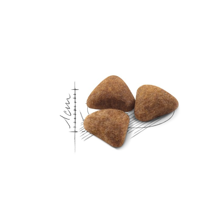 Сухой корм RC Indoor для кошек живущих в помещении, 400 г