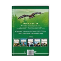 Детская энциклопедия в твёрдом переплёте &laquo;Животные России&raquo;, 48 стр.
