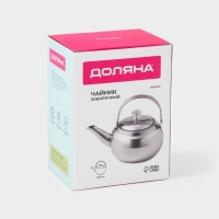 Заварочный чайник Доляна &laquo;Гретель&raquo;, 700 мл, металлическое сито, нержавеющая сталь, хромированный