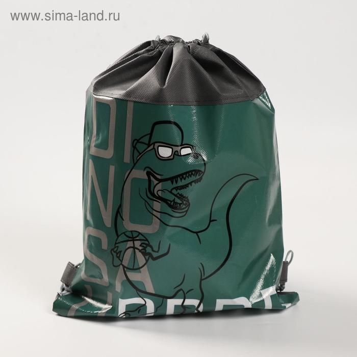 Мешок для обуви &laquo;Динозавр&raquo; 30 х 40 см