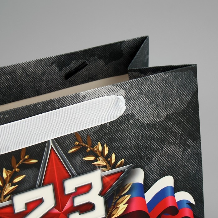 Пакет подарочный ламинированный вертикальный, упаковка, &laquo;23 февраля&raquo;, MS 23 х 18 х 10 см