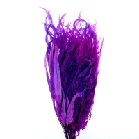 Сухоцвет &laquo;Ситник&raquo;, фиолетовый, 15 шт. в упаковке