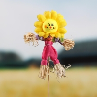 Огородное пугало &laquo;Солнце&raquo;, h = 50 см, МИКС, Greengo