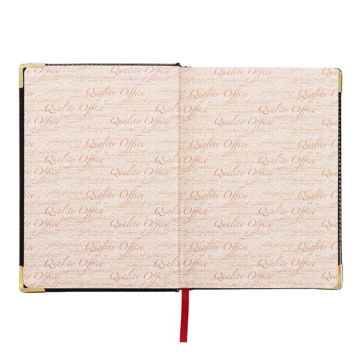 Ежедневник недатированный А5+, 136 листов Sidney Nebraska, твёрдая обложка, искусственная кожа, золотой срез, золотые уголки, чёрный