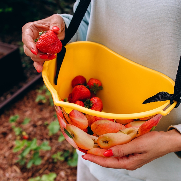 Ёмкость для сбора ягод, 3 л, &laquo;Яблочки&raquo;, жёлтая
