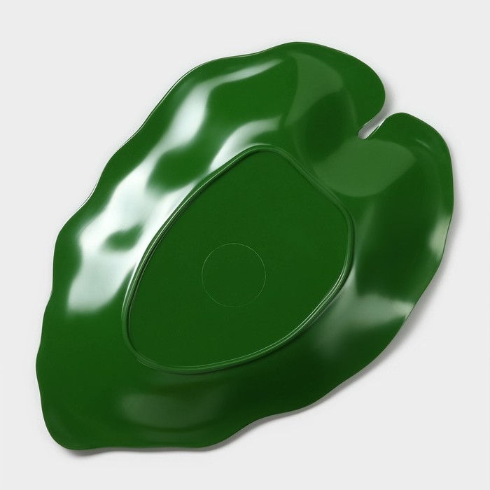 Блюдо для подачи &laquo;Лист&raquo;, 25&times;17&times;2 см, цвет зелёный