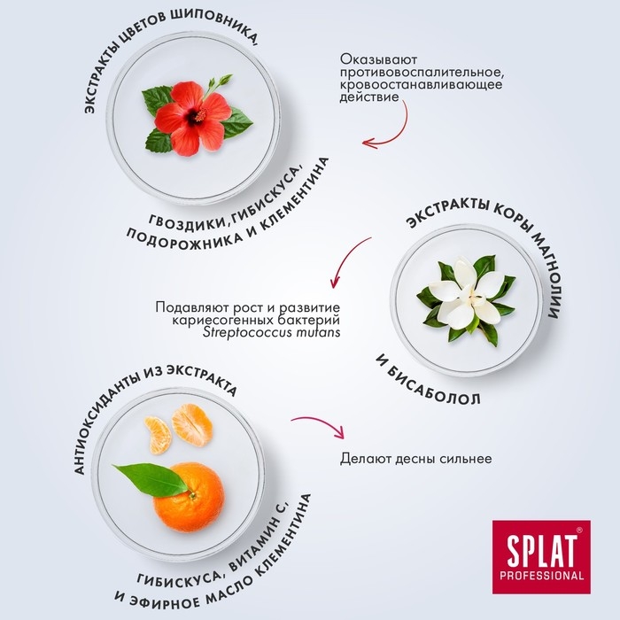 Зубная паста Splat Professional Зубная паста Splat Professional "Здоровые десна", 100 мл