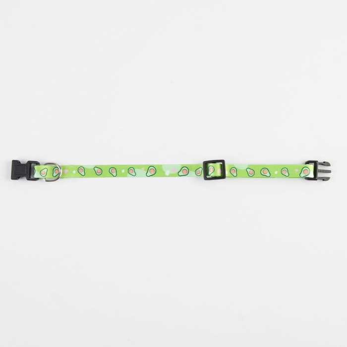 Ошейник для собак и кошек с фастексом &laquo;Авокадо&raquo;, 30х1 см