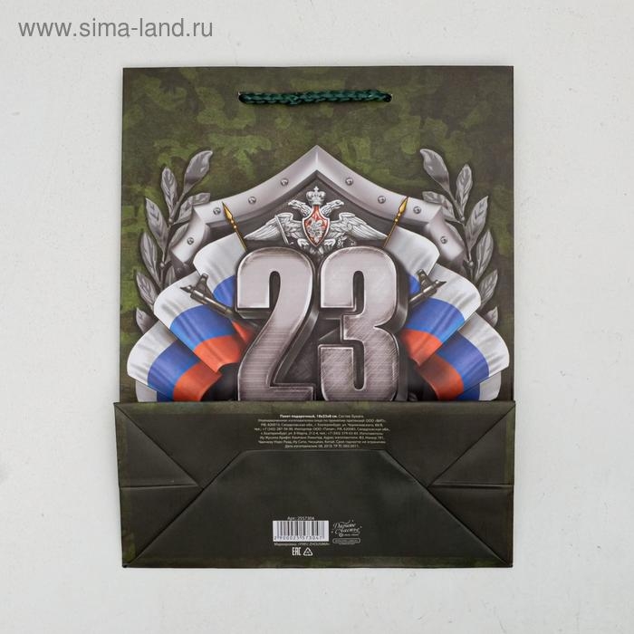 Пакет подарочный ламинированный вертикальный, упаковка, &laquo;Настоящий Защитник!&raquo;, MS 18 х 23 х 10 см