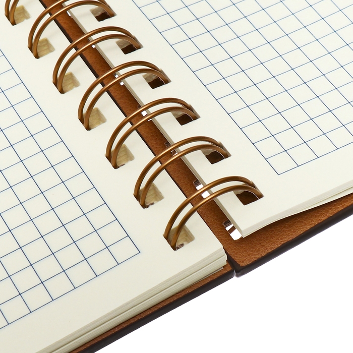 Органайзер на гребне, А5, 80л, клетка, обл.кожзам, с хлястиком, коричневый Органайзер на гребне, А5, 80л, клетка, обл.кожзам, с хлястиком, коричневый