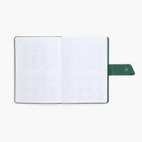 Ежедневник Boom, недатированный, черный с зеленым