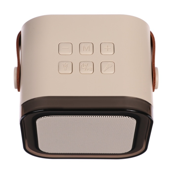 Мини караоке-система K12, 5 Вт, 2 микрофона, 800/400мАч, Jack 3.5, Type-С, USB, RGB,бежевая Мини караоке-система K12, 5 Вт, 2 микрофона, 800/400мАч, Jack 3.5, Type-С, USB, RGB,бежевая