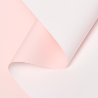 Пленка матовая 0.58 х 10 м Пленка матовая 0.58 х 10 м