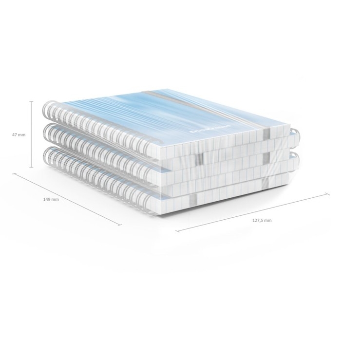 Тетрадь А6 на спирали, 80 листов в клетку, ErichKrause Ice Metallic, пластиковая обложка, на резинке, блок офсет 100% белизна, МИКС Тетрадь А6 на спирали, 80 листов в клетку, ErichKrause Ice Metallic, пластиковая обложка, на резинке, блок офсет 100% белизна, МИКС