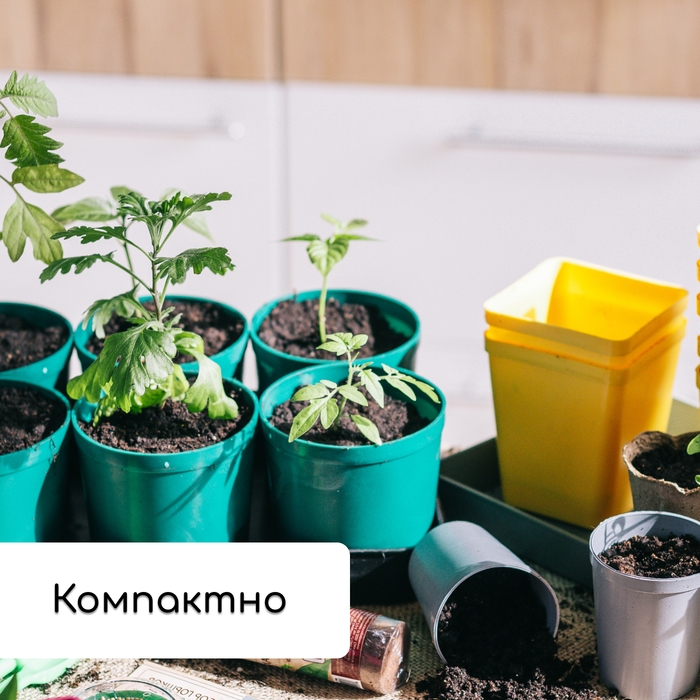 Набор для рассады: стаканы по 500 мл (8 шт.), поддон 40 × 20 см, цвет МИКС, Greengo Набор для рассады: стаканы по 500 мл (8 шт.), поддон 40 × 20 см, цвет МИКС, Greengo