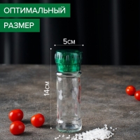 Мельница для специй, пластиковый механизм, 115 мл (45-80 гр), цвет зелёный Мельница для специй, пластиковый механизм, 115 мл (45-80 гр), цвет зелёный