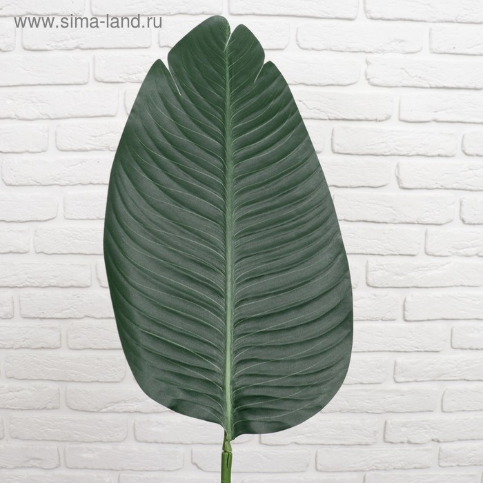 Дерево искусственное "Длинный лист" 150 см (листья 36х22, 44х24, 53х26 см)