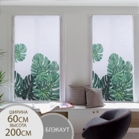Штора рулонная &laquo;Тропики&raquo;, блэкаут, 60&times;200 см, цвет белый