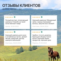 Шампунь для волос жирных у корней и сухих на кончиках с голубой глиной, питание и оъём, 300 мл, ECO LAB by URAL LAB