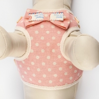 Комплект амуниции с мягкой шлейкой "Горох", S, поводок 120 х 1,5 см, ОШ 26-40 см, ОГ 28-42 см, роз