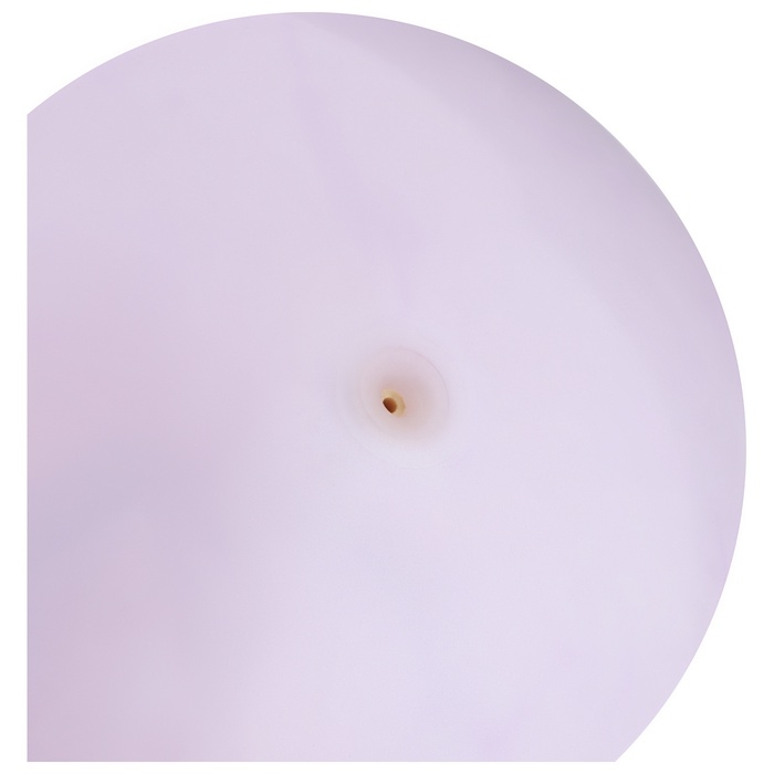 Мяч детский &laquo;Динозаврики&raquo;, d=25 см, цвет МИКС