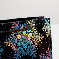 Пакет голография вертикальный «С Новым годом», MS 23 х 18 х 10 см Пакет голография вертикальный «С Новым годом», MS 23 х 18 х 10 см