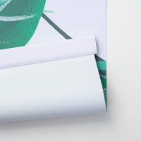 Штора рулонная &laquo;Ветви&raquo;, блэкаут, 120&times;200 см, цвет белый