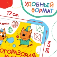 Книжка многоразовая &laquo;Рисуй и играй&raquo;, 17&times;24 см., 20 стр., с маркерами, Три кота