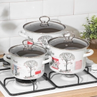 Набор кастрюль «Осенний парк. Люкс», 3 предмета: 2,4 л, 3,4 л ,5 л, крышки, индукция Набор кастрюль «Осенний парк. Люкс», 3 предмета: 2,4 л, 3,4 л ,5 л, крышки, индукция