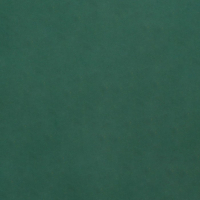 Бумага упаковочная крафт "Мокрый тропический лес", 0,7 х 10 м, 70 г